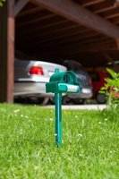 Hond-Kat-Marter verjager