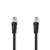 BNC-Videokabel | BNC Male | BNC Male | Vernikkeld | 75 Ohm | 5.00 m | Rond | PVC | Zwart | Polybag BNC-Videokabel | BNC Male | BNC Male | Vernikkeld | 75 Ohm | 5.00 m | Rond | PVC | Zwart | Polybag