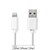 Lightning Kabel | USB 2.0 | Apple Lightning 8-Pins | USB-A Male | 480 Mbps | Vernikkeld | 1.00 m | Rond | PVC | Wit | Label Lightning Kabel | USB 2.0 | Apple Lightning 8-Pins | USB-A Male | 480 Mbps | Vernikkeld | 1.00 m | Rond | PVC | Wit | Label