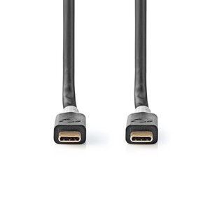 USB-Kabel | USB 3.2 Gen 2x2 | USB-C™ Male | USB-C™ Male | 4K@60Hz | 20 Gbps | Verguld | 2.00 m | Rond | PVC | Zilver | Window Box
