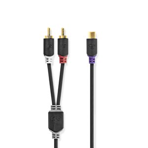 Stereo-Audiokabel | 2x RCA Male | RCA Female | Verguld | 0.20 m | Rond | Antraciet | Doos