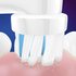 Oral B tandenborstels kids Frozen 2st._